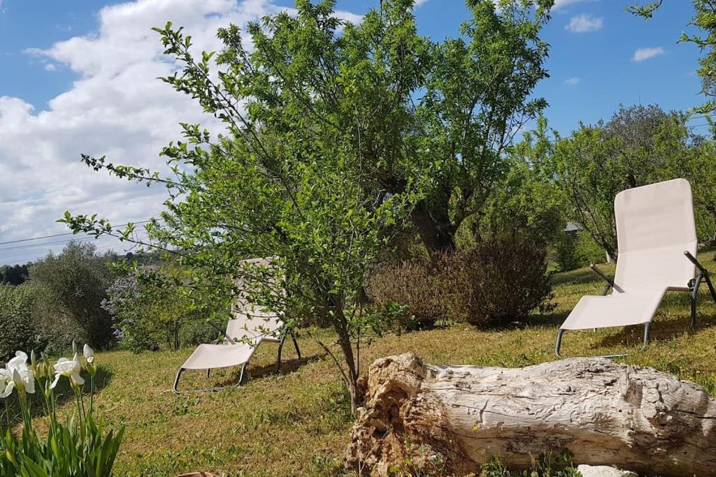 Podere Del Gelso Bianco, Vacation Rental Ostuni Dış mekan fotoğraf